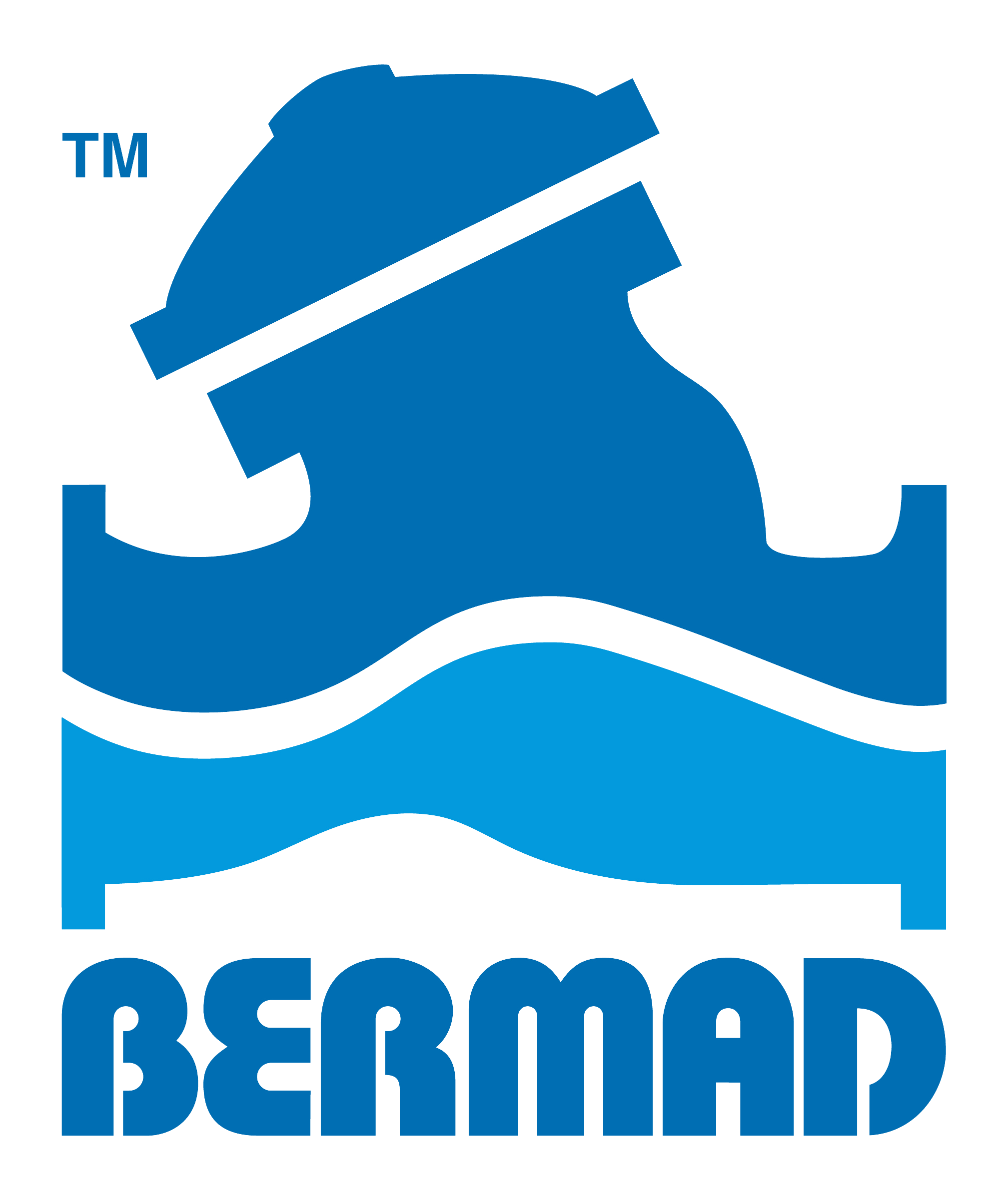 Logo Bermad